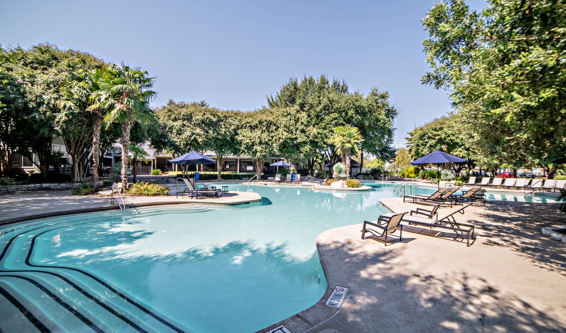 Love Where You Live Pool