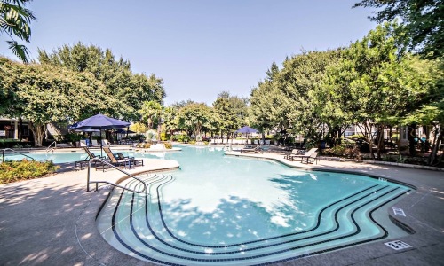 pool with lounge chairs
